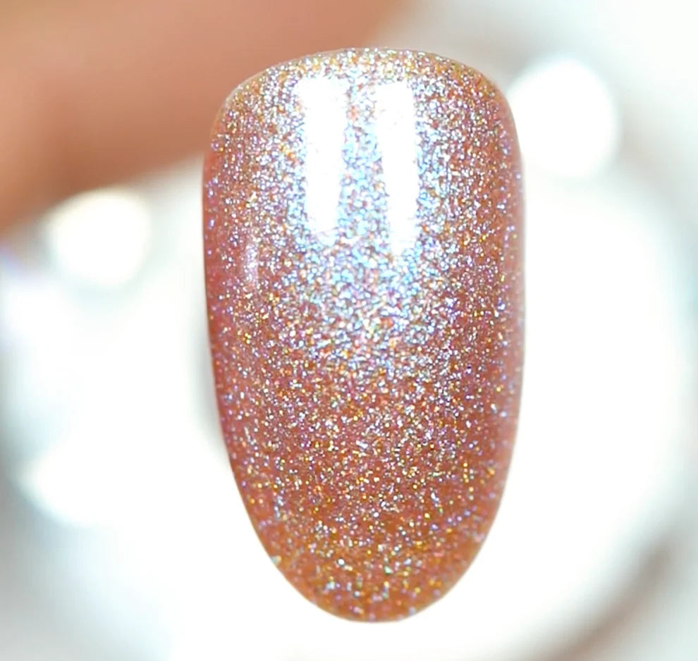 Light Salmon #241
